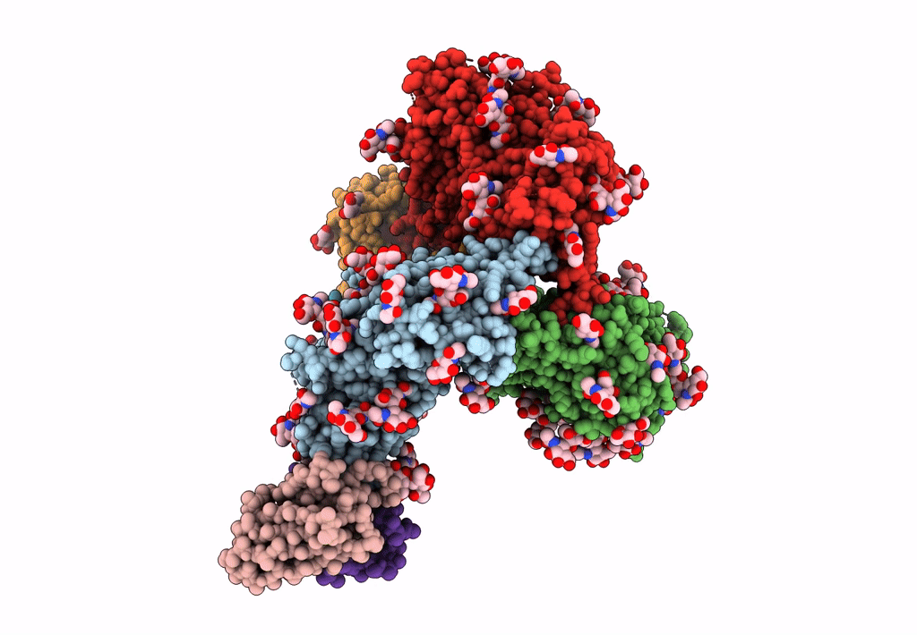 7L86 image