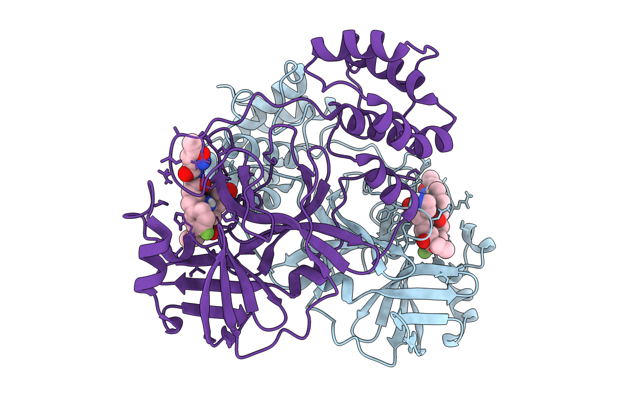 7L8I image
