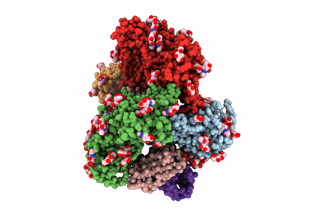 7L8W image