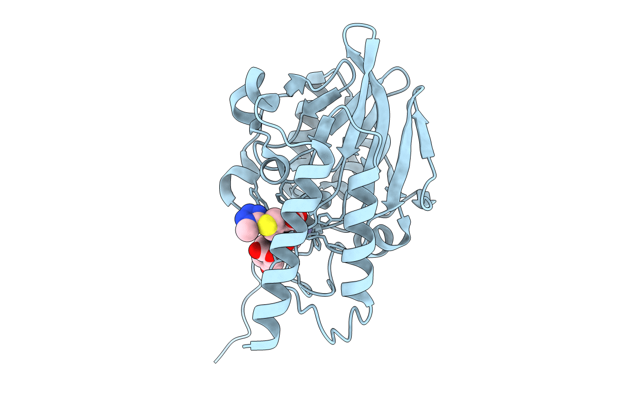7L91 image