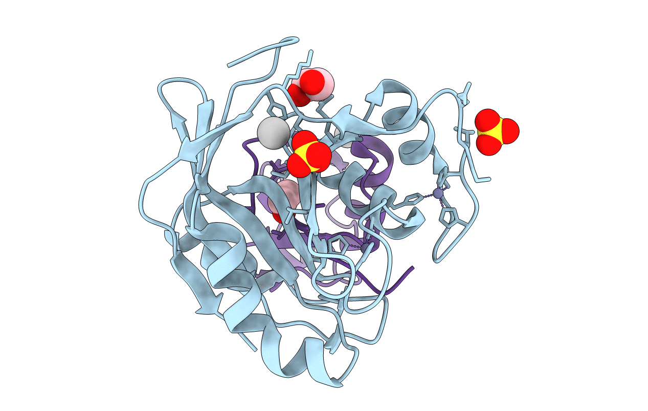 7L97 image