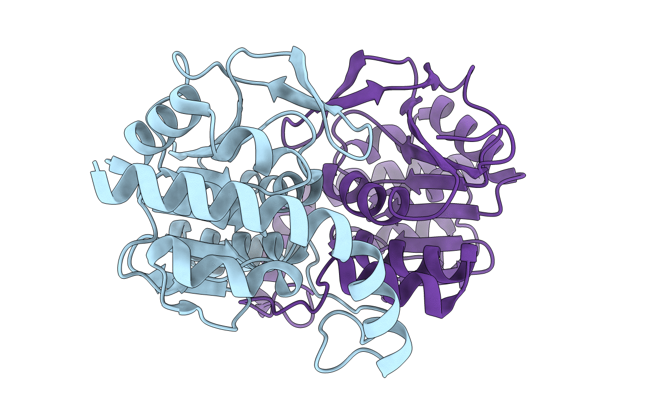7L9W image
