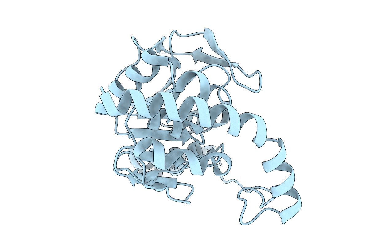 7LAX image