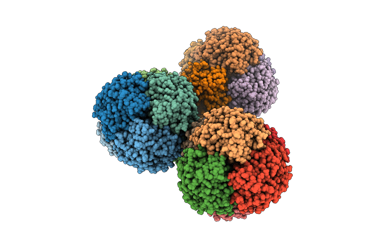 7LBA image