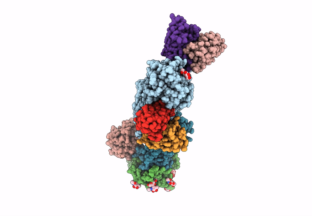 7LBG image