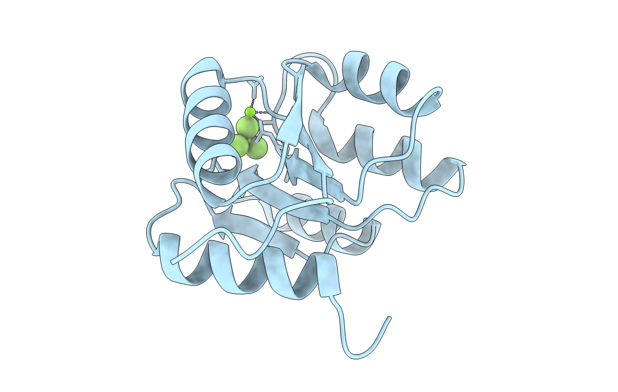 7LCM image