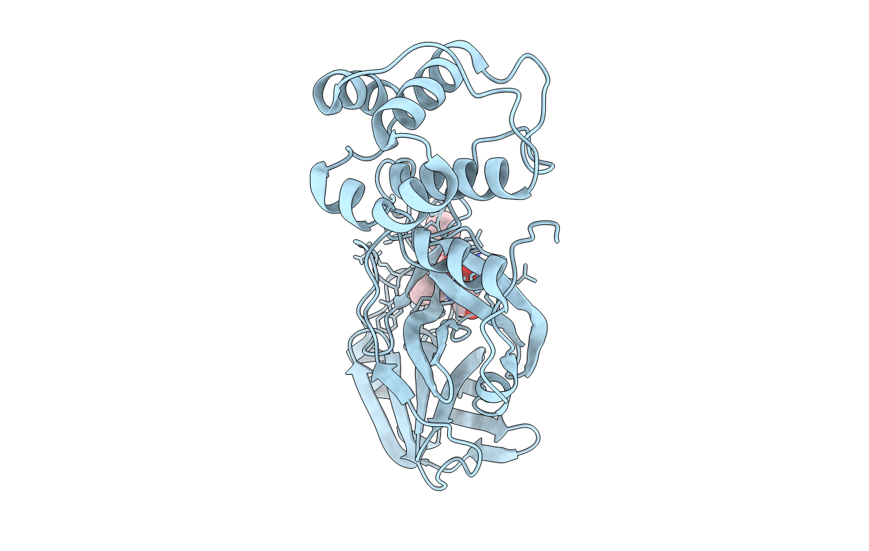 7LCO image