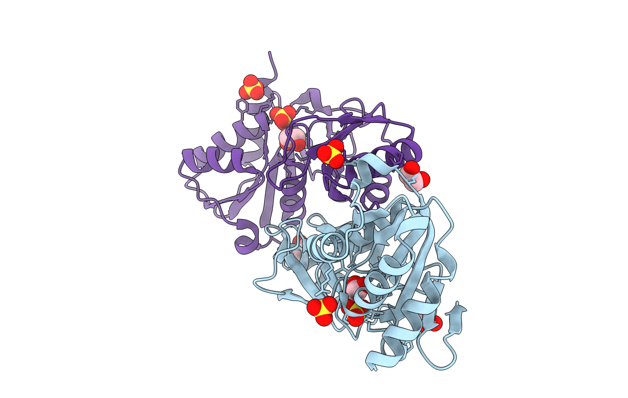 7LDA image