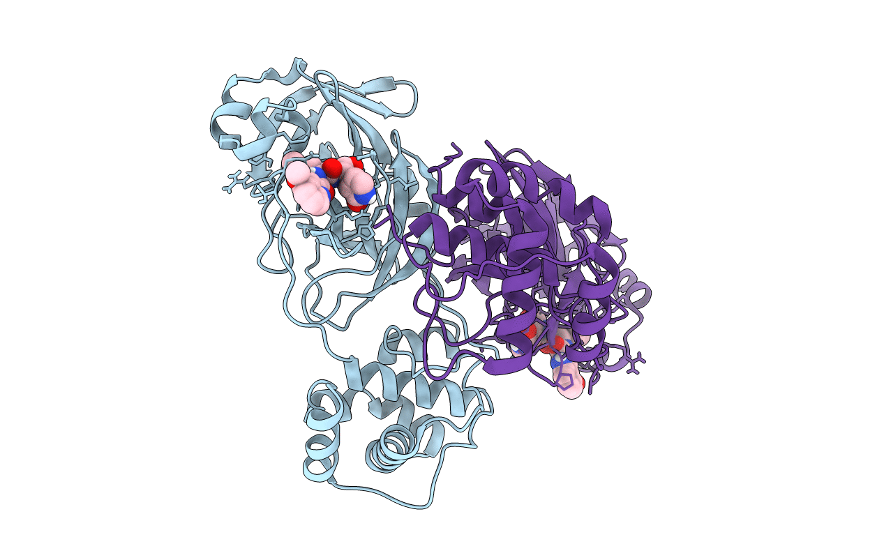 7LDL image