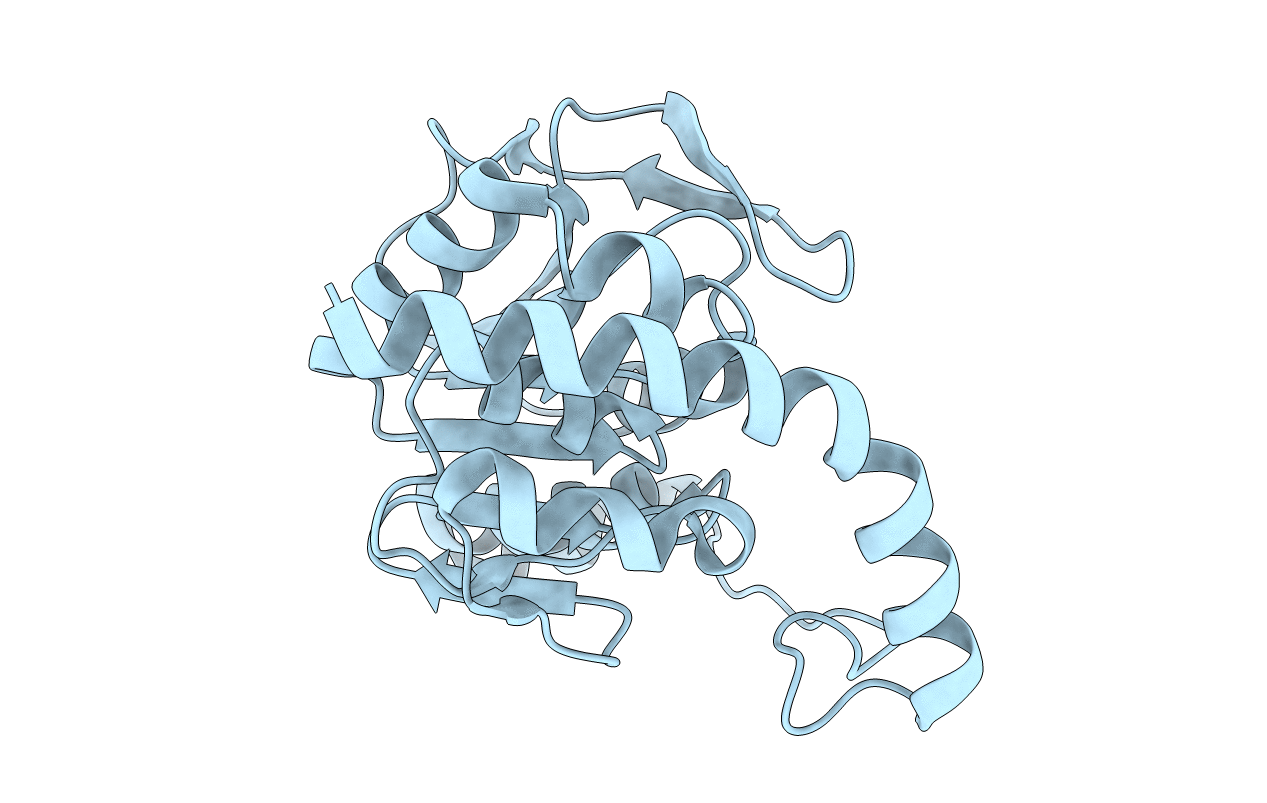 7LDO image
