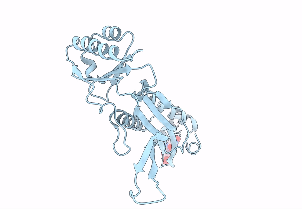 7LII image