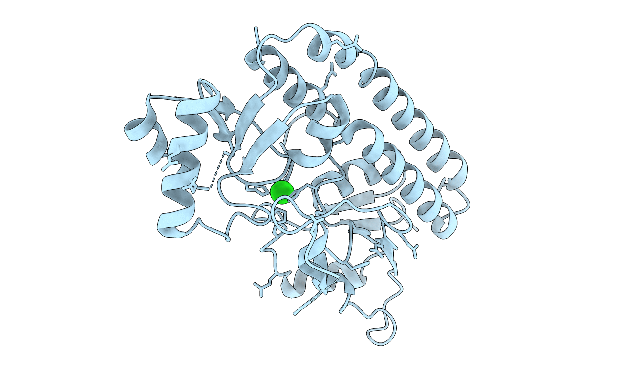7LM7 image