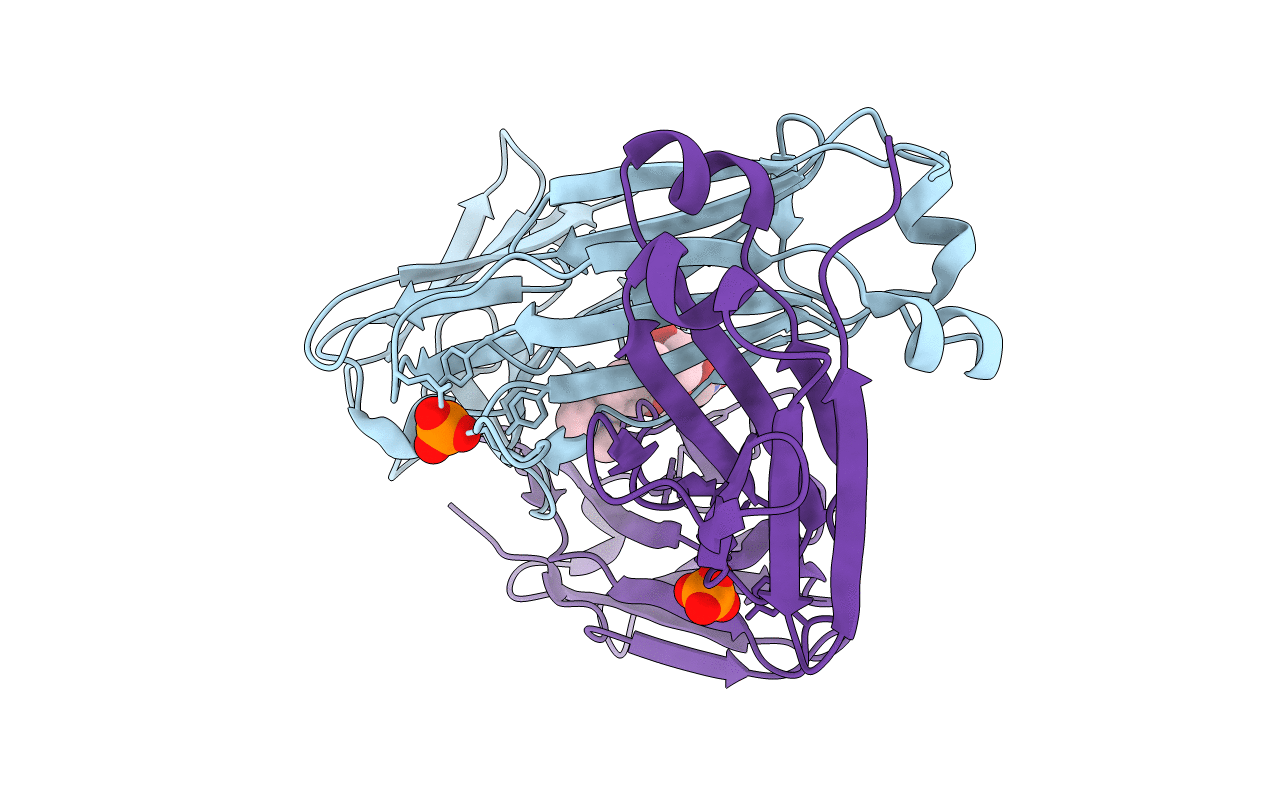 7LMP image