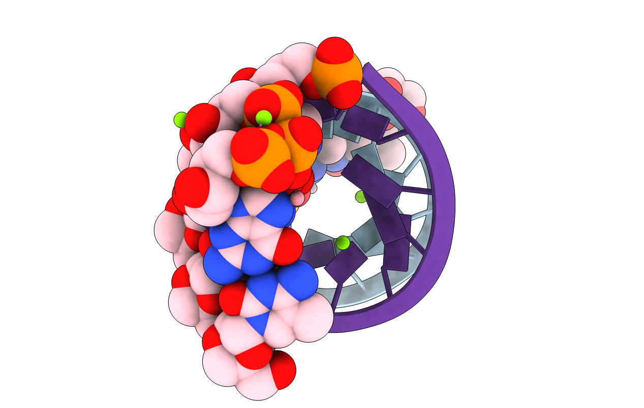 7LNF image
