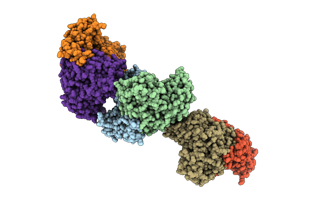 7LNM image