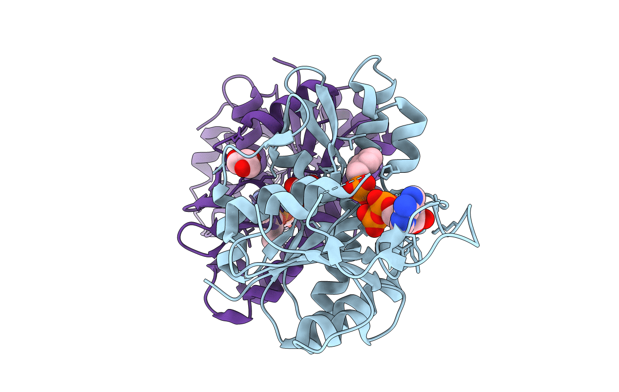 7LNT image