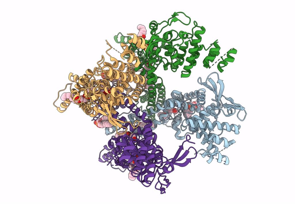7LPE image