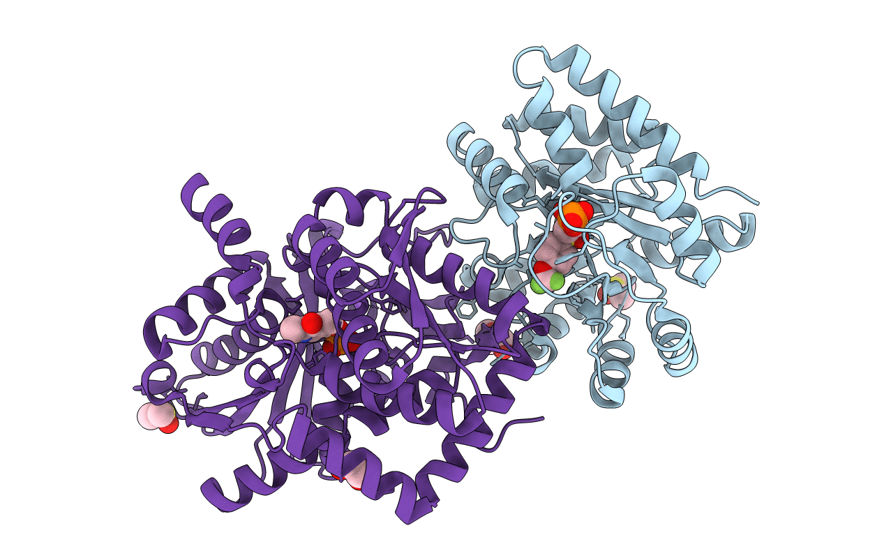 7LPF image