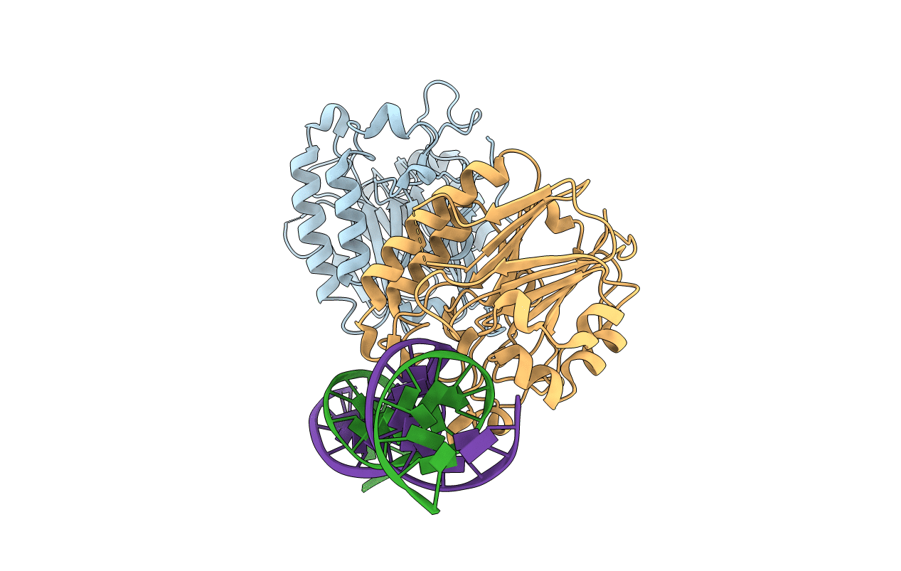 7LPI image