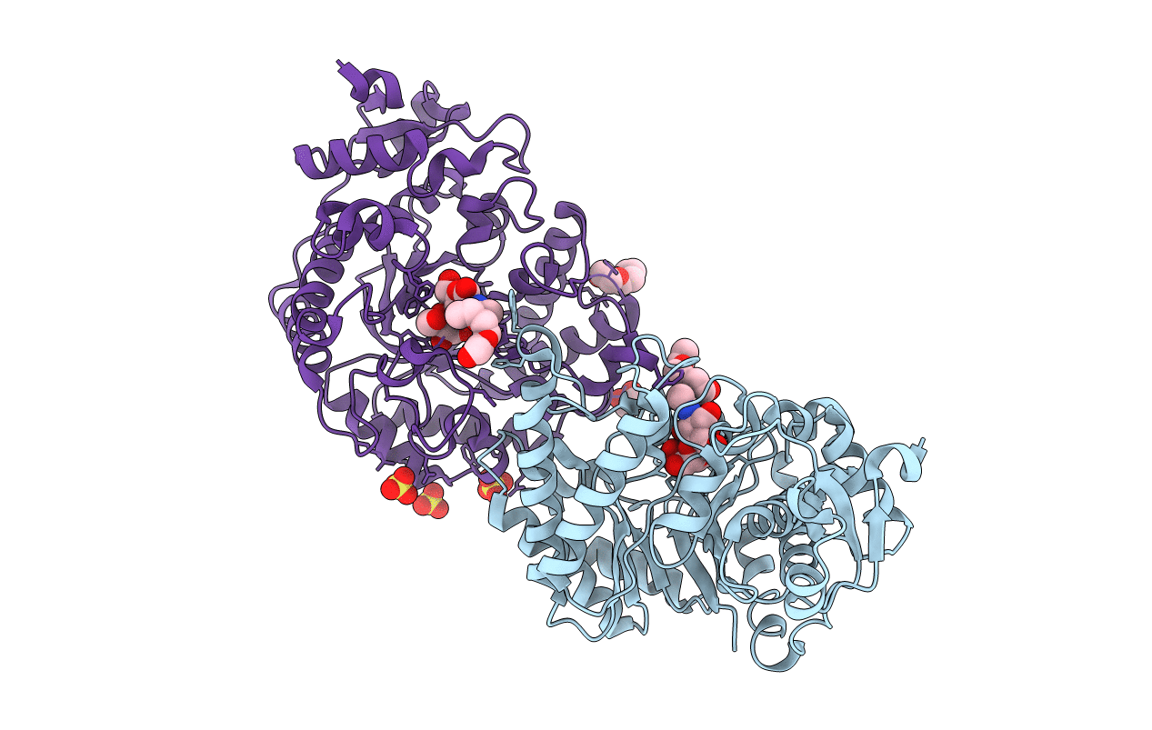 7LR8 image