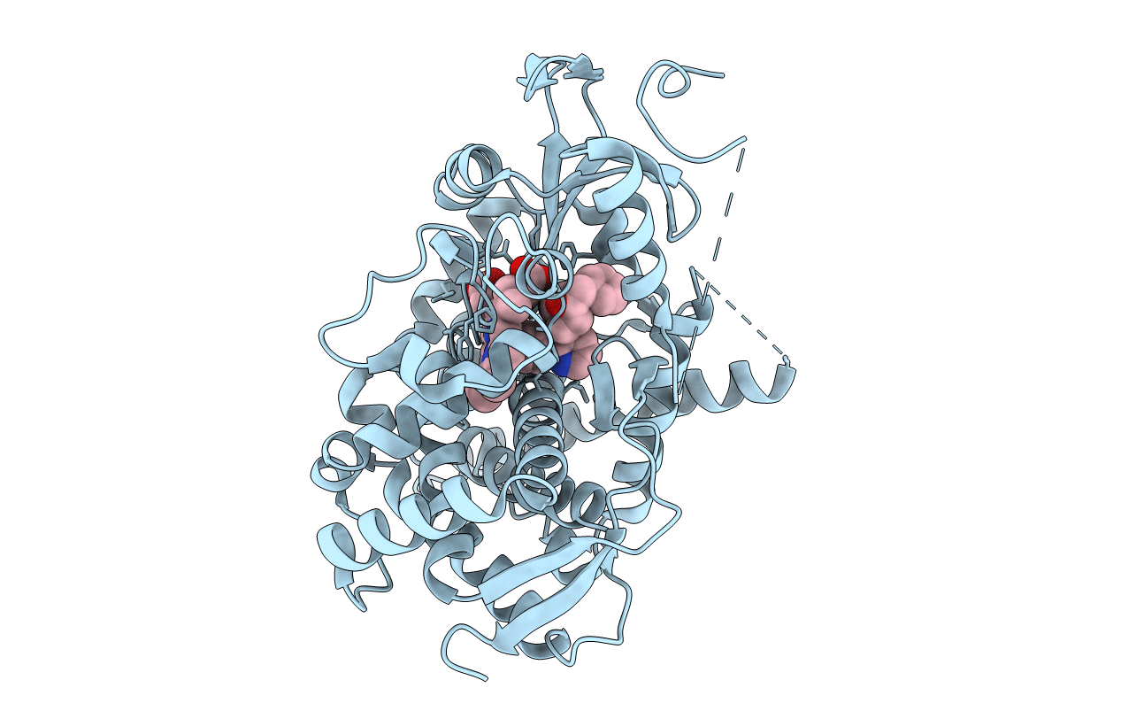 7LRL image