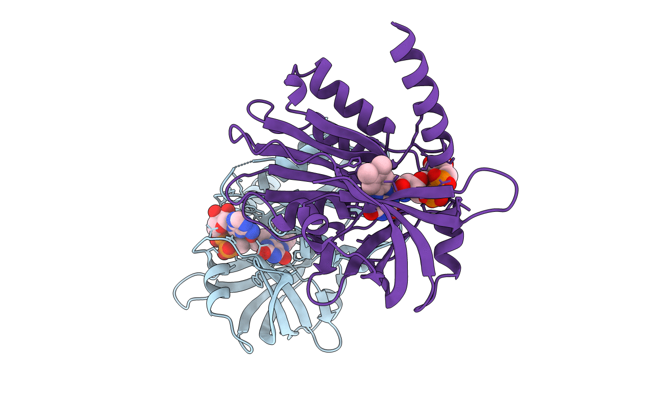 7LRN image