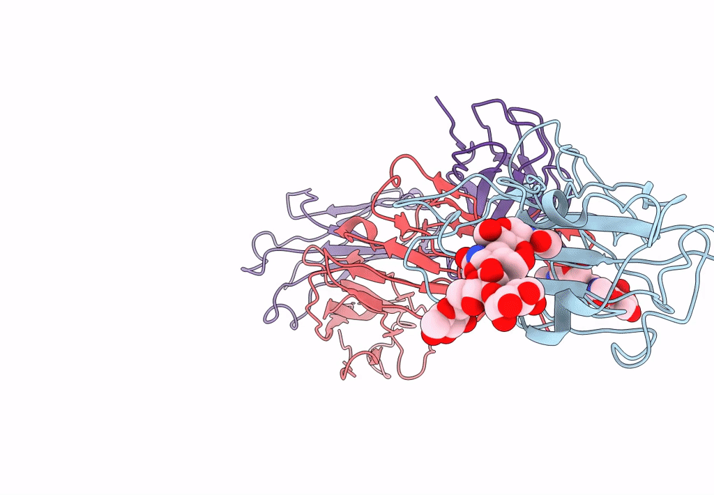 7LRS image