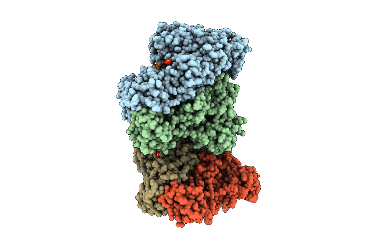 7LRX image