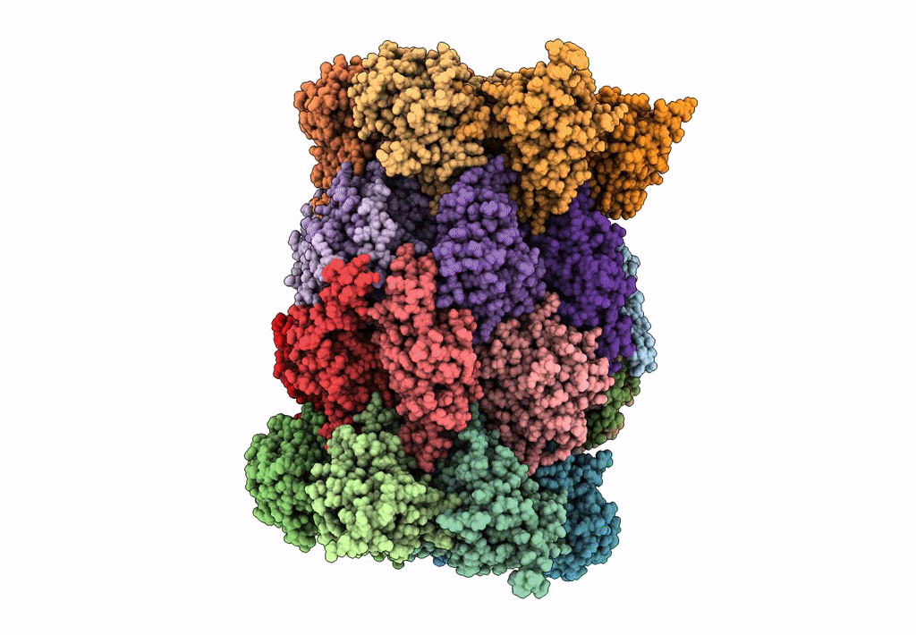 7LS5 image