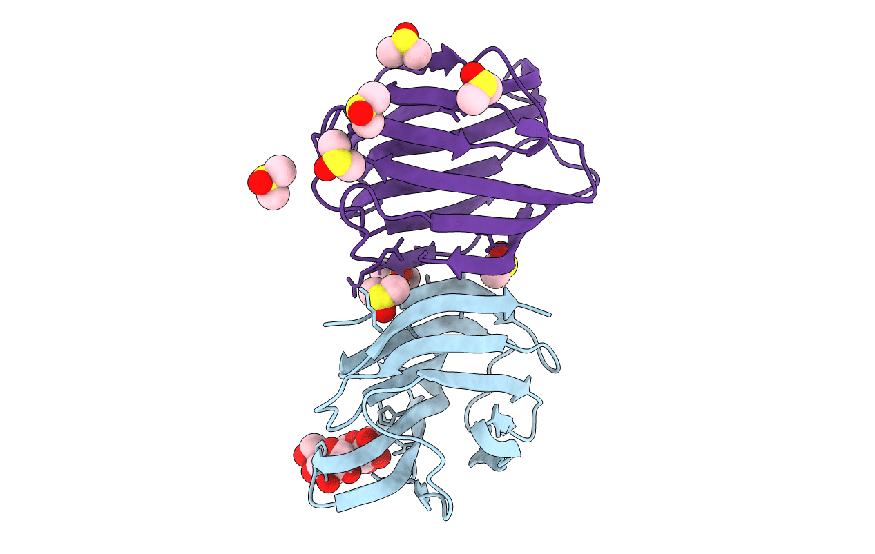 7LTA image