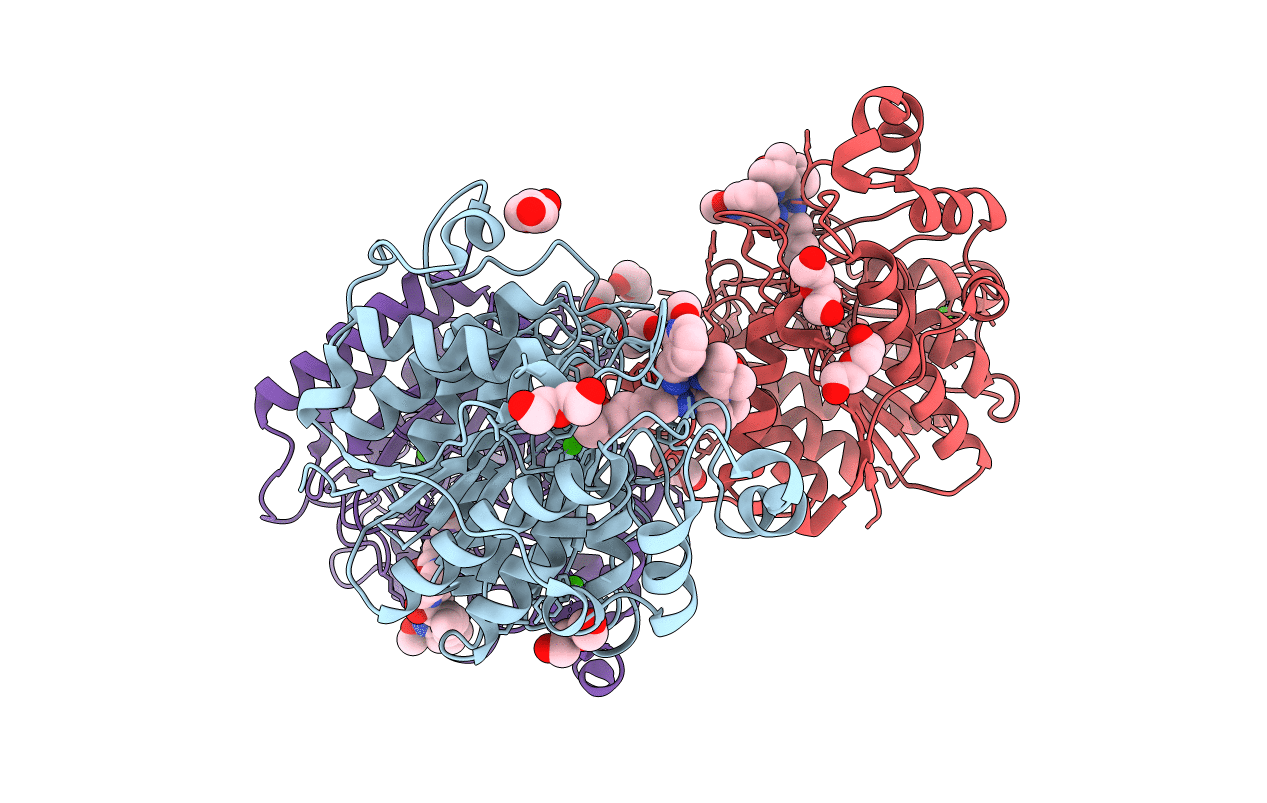 7LTG image