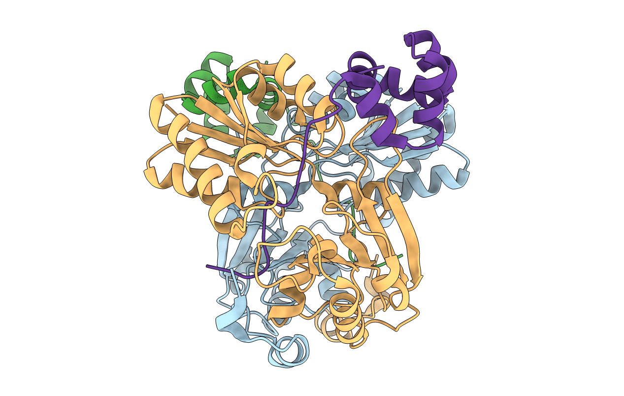 7LTH image