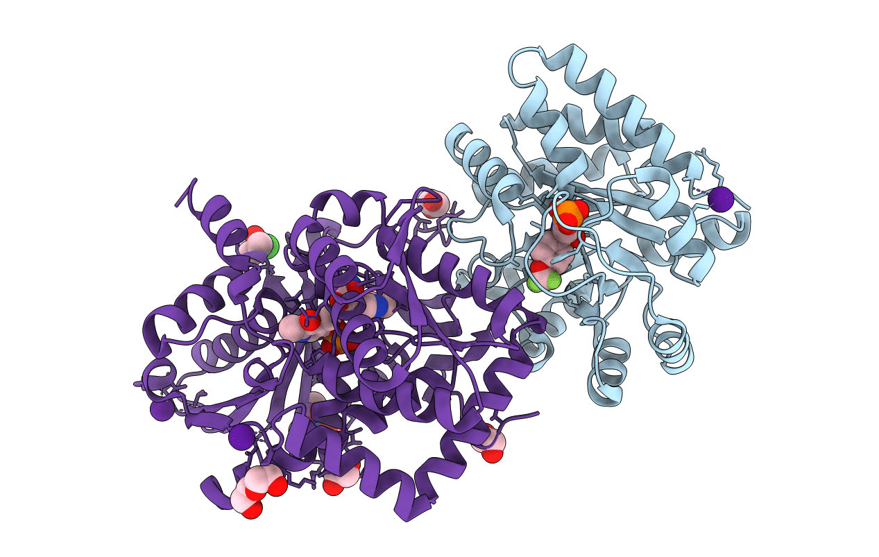 7LTP image