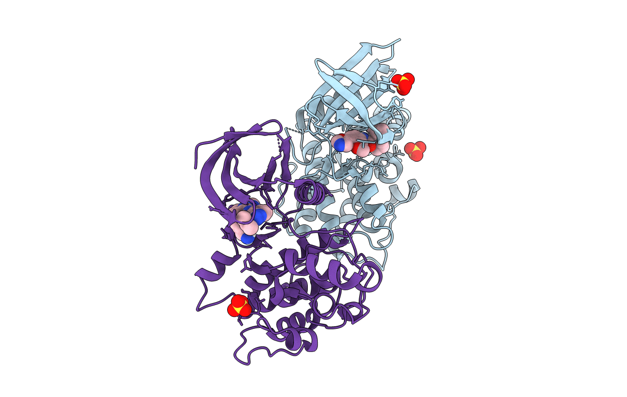7LVI image
