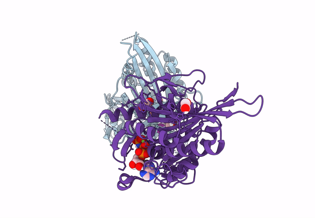 7LXR image
