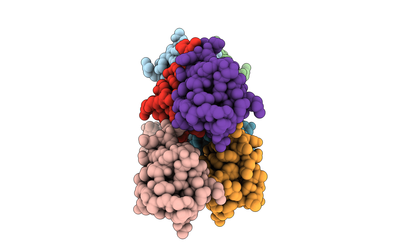 7LXS image