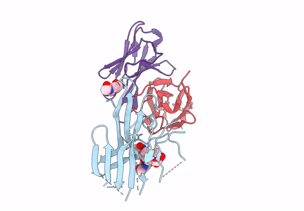 7LXX image