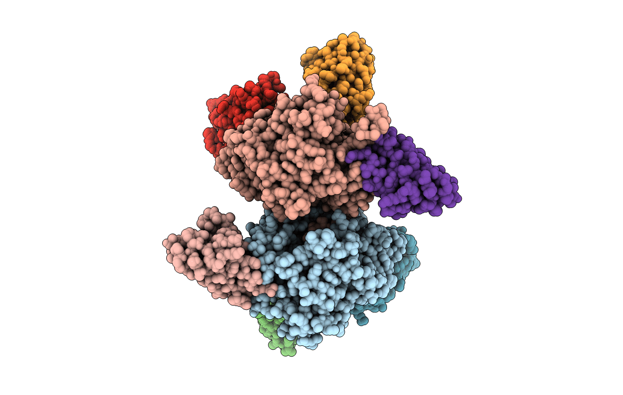 7LZP image