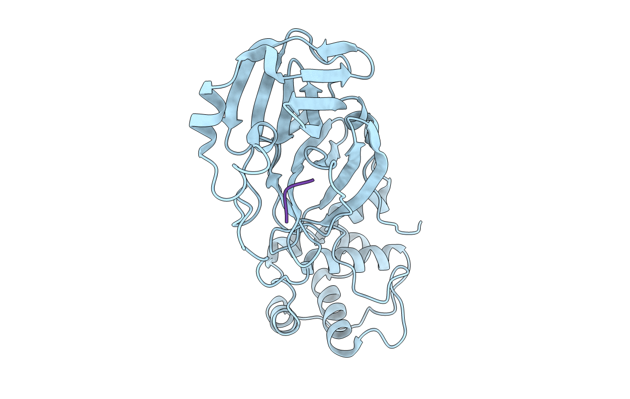 7M2P image