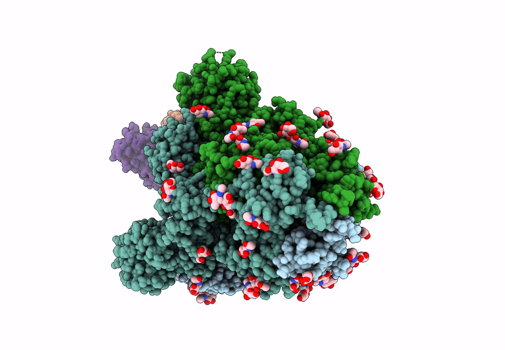 7M6G image