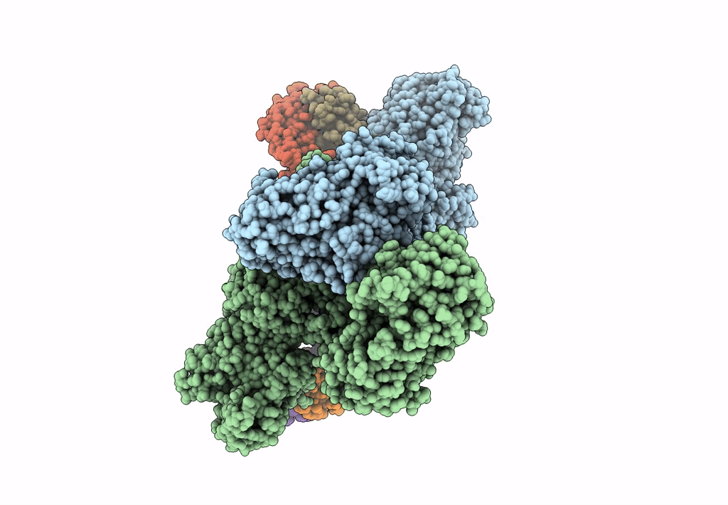 7M7H image