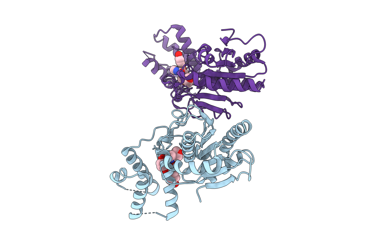7M7V image