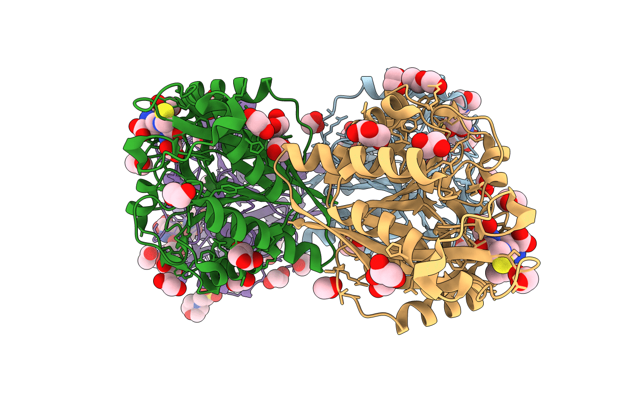 7M8H image