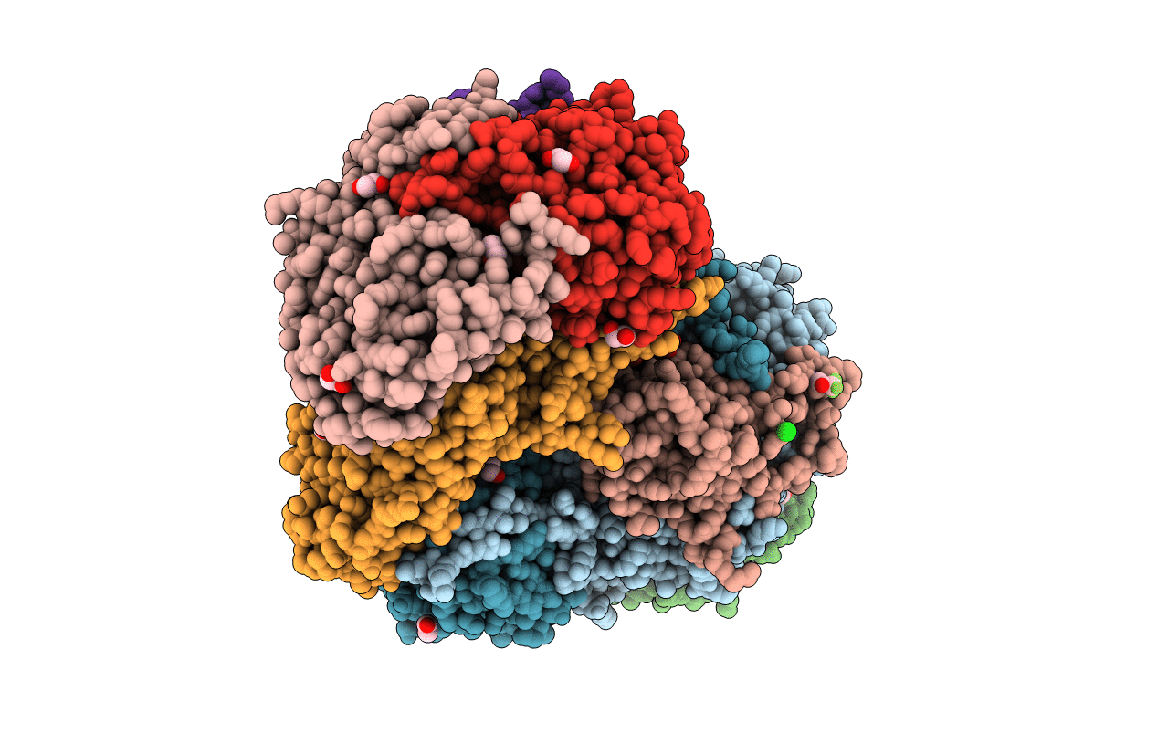 7M8R image