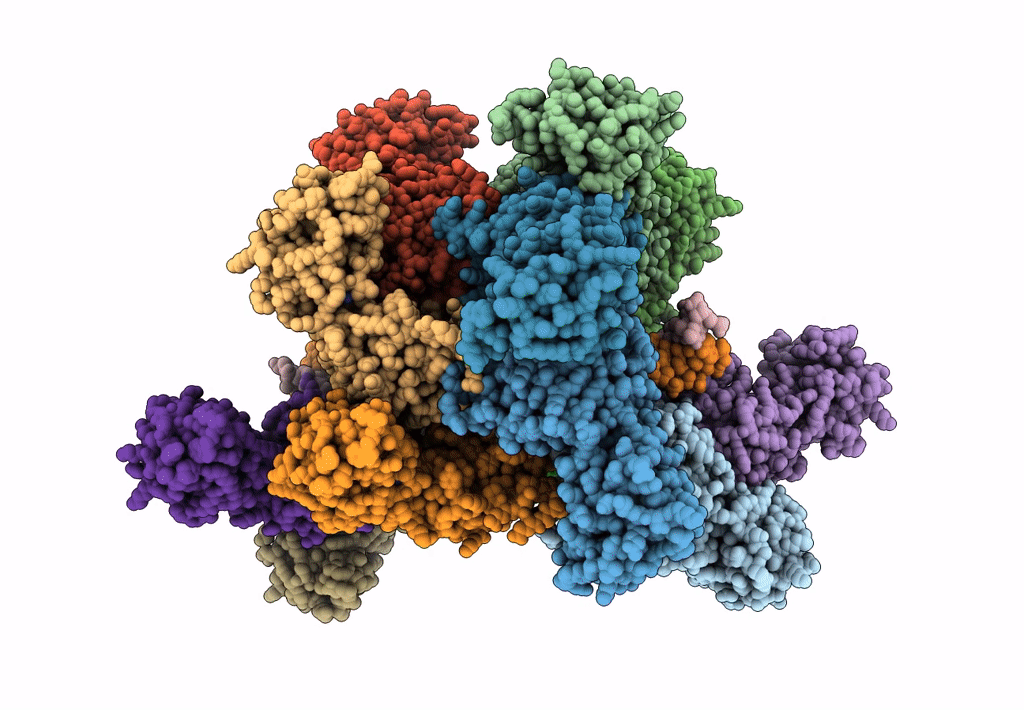 7M9C image