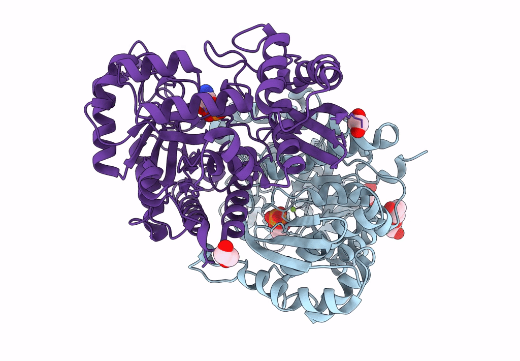 7MBH image