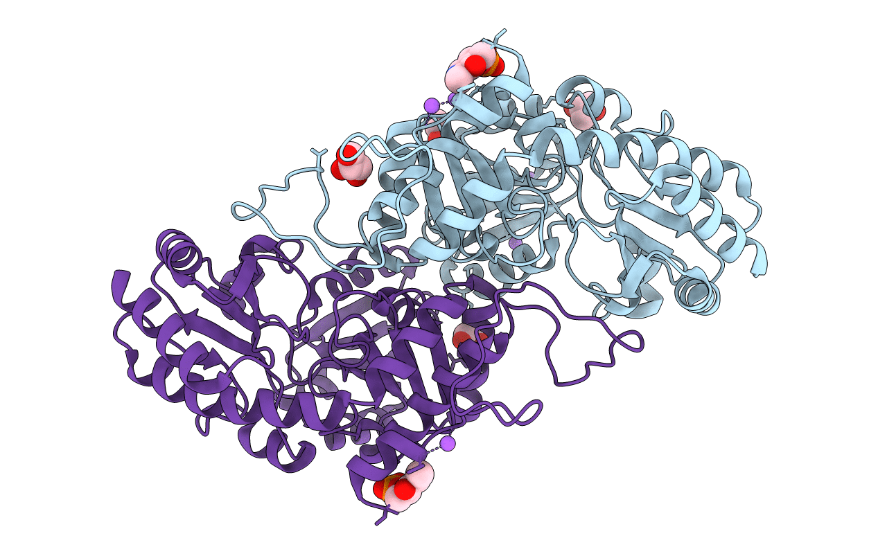 7MCP image