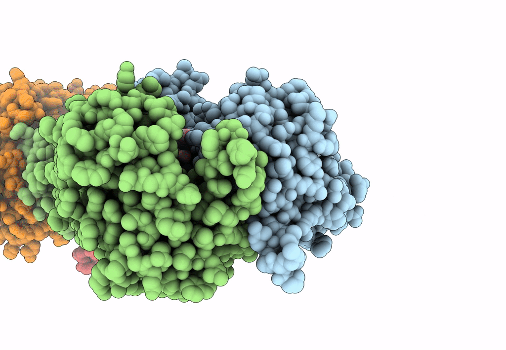 7MDX image