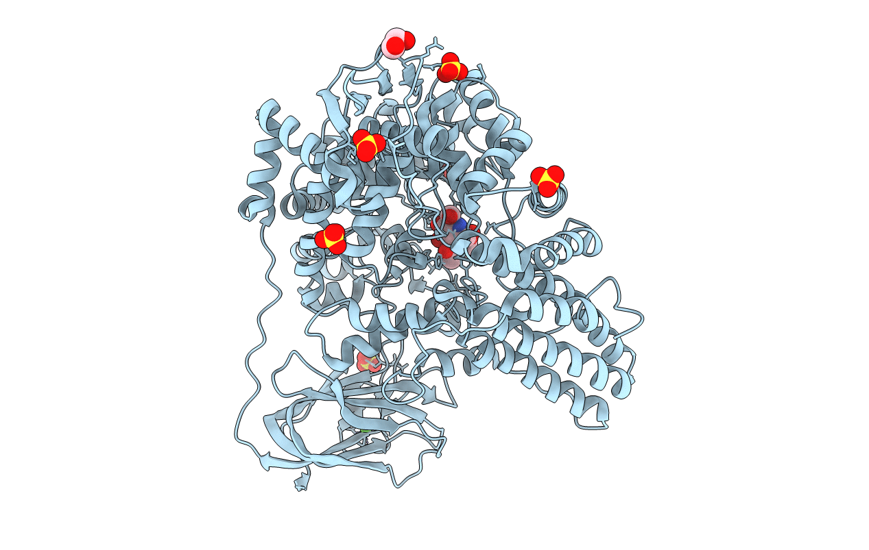7MFL image