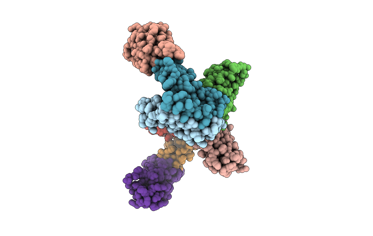 7MGX image